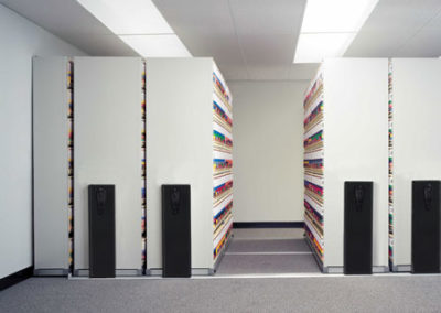 File Management